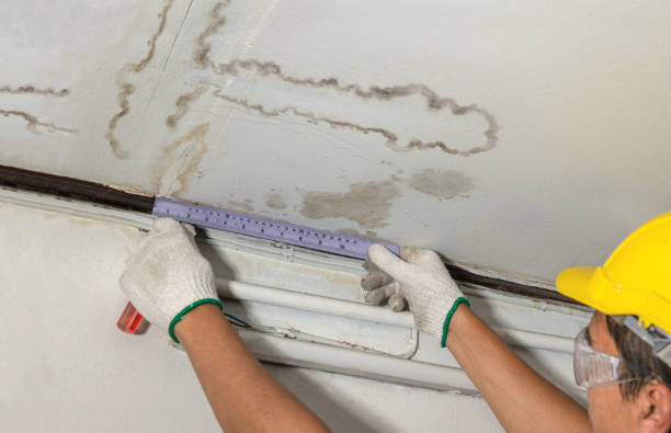 Affordable Basement Flood Cleanup solutions in Rosston, TX